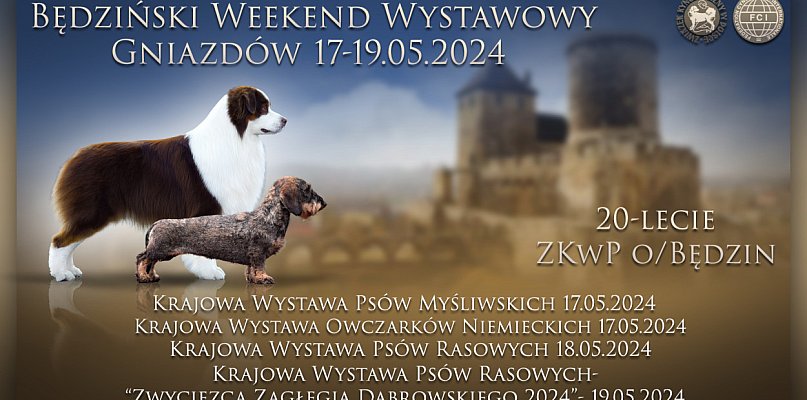 Kto zwycięży w Wielkim Weekendzie Psów Rasowych w Gniazdowie? - 30438