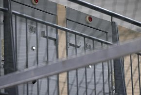 Białystok: półtora roku więzienia za wyrzucenie psa przez balkon-30904