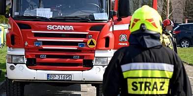 Śląskie: 10 autobusów spłonęło w zajezdni w Bytomiu-31175