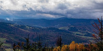 Naukowiec: krajobraz hal i polan w Beskidach szybko się zmienia-37908