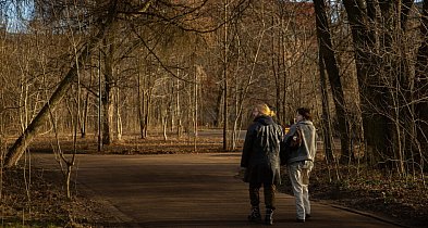 Zwiększona dzienna liczba kroków może wpłynąć na zmniejszenie objawów depresji-42392