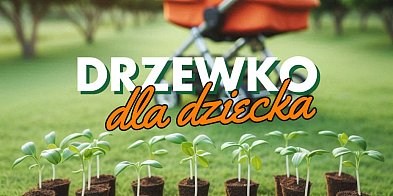 Drzewko dla dziecka – upamiętnij narodziny!-42968