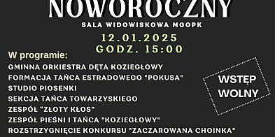 Koncert Noworoczny w Koziegłowach – Muzyczna Uczta!-43155