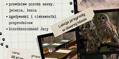 Zwierzęta Jury. Lekcja w dawnej szkole. Stray Młyn-43503