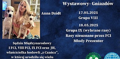Będziński Weekend Wystawowy 2025 w Gniazdowie, Gmina Koziegłowy!-49062