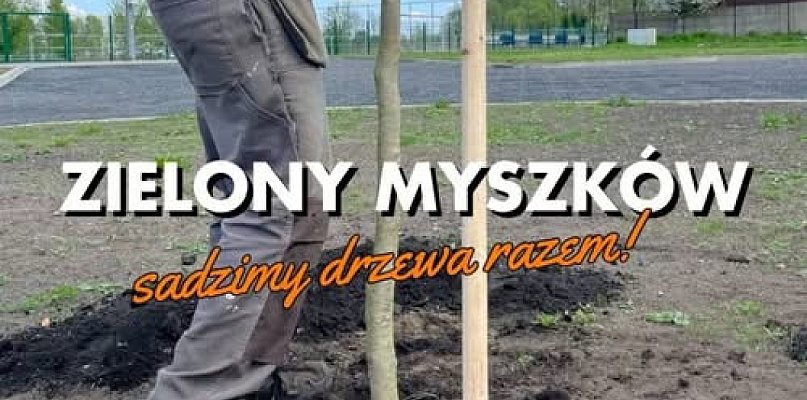 Myszków stawia na zieleń! Wspólna akcja sadzenia drzew już 24 kwietnia - 49378