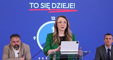 Dziemianowicz-Bąk: skrócenie czasu pracy pożądane, ale wyłącznie przy tym samym wy-49661