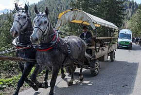 Kolejki do wozów konnych nad Morskie Oko. &quot;Elektryki&quot; mało popularne-49997