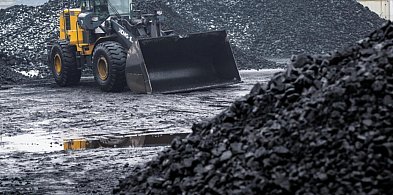W sobotę Polska wyczerpie roczną pulę odnawialnych zasobów naturalnych-49961
