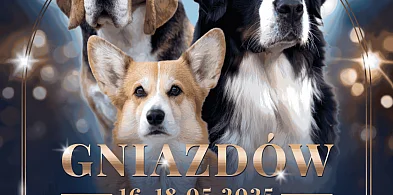 Będziński Weekend Wystaw Psów Rasowych 2025 – Gniazdów Gmina Koziegłowy-50592