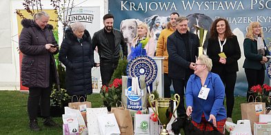 Fotorelacja II: Wystawa Psów Rasowych 2025 – Gniazdów Gmina Koziegłowy-51020