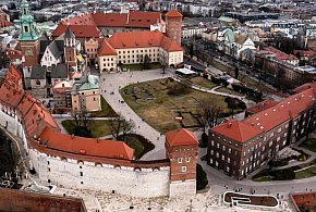 Odkrycie archeologiczne na Wawelu: dziecięce pochówki i fragment broni-51378