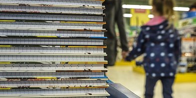 Raport: w ciągu 3 lat zaległości dotyczące niezapłaconych alimentów wzrosły o pona-51803