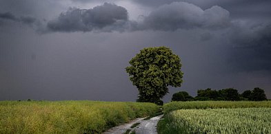 Alert RCB i ostrzeżenia IMGW I i II stopnia dla całego kraju przed burzami i silny-52130