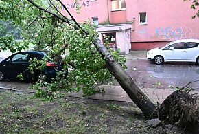 Straż pożarna: 846 zgłoszeń w związku z intensywnymi burzami; jedna osoba ranna-52156