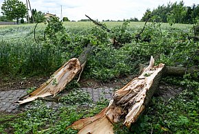 Straż pożarna: w niedzielę 728 zgłoszeń związanych z pogodą-52171