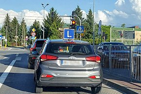 Egzamin na prawo jazdy będzie inny. Od 1 lipca nowe zasady-52848