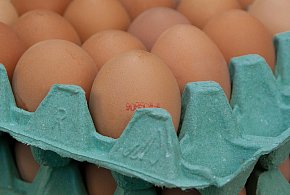 Salmonella na jajach znanej marki. Nie jedz, jeśli masz je w lodówce!-53226
