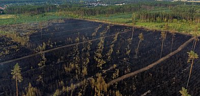 Rządowe Centrum Bezpieczeństwa: w czterech województwach duże zagrożenie pożarowe -53496