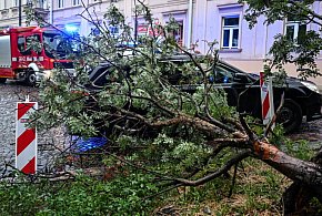 Straż pożarna: 1607 interwencji w związku z burzami-53564