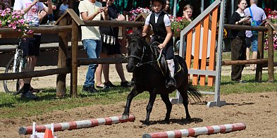 Fotorelacja V: Sprawnościowy Konkurs Jeździecki - Festiwal z Kopyta w Gniazdowie-55275