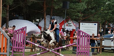 Fotorelacja XX: Sprawnościowy Konkurs Jeździecki - Festiwal z Kopyta w Gniazdowie-55502