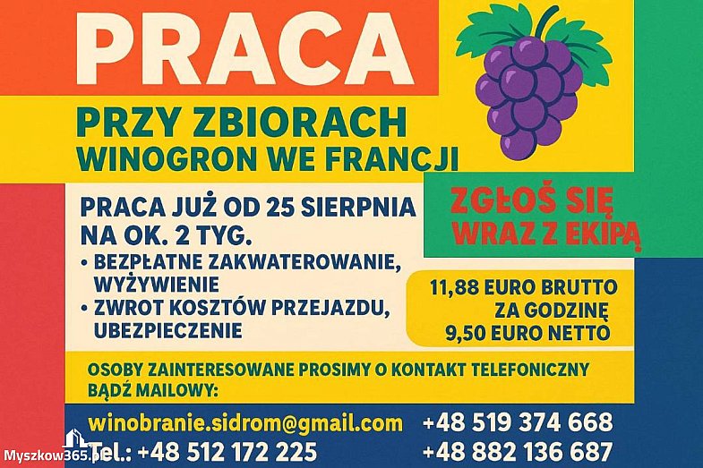 zdjecie ogloszenia