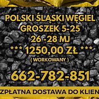 zdjecie ogloszenia