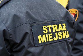 Zapuka strażnik, zapłacisz karę. Ruszyły kontrole w całej Polsce-58293