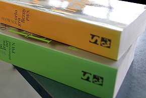 Współautorka benchmarku OneRuler: nie pokazaliśmy wcale, że język polski jest najl-59425