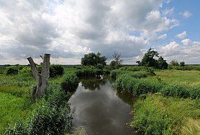 Co dalej z nowym parkiem narodowym? Minister klimatu zdradza plan po wecie-59560