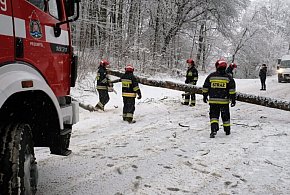 2101 interwencji strażaków po opadach śniegu i deszczu ze śniegiem-60269