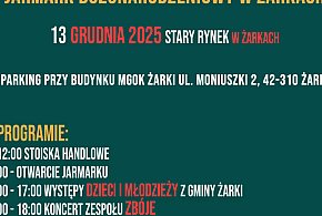 ISKRY 2025 – Jarmark Bożonarodzeniowy w Żarkach-60588