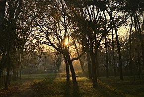 Nadchodzi najkrótszy dzień w 2025 roku. Sprawdź, kiedy przypadnie-61383