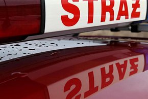 PSP: 361 pożarów w pierwszy dzień świąt; zginęły dwie osoby-61651