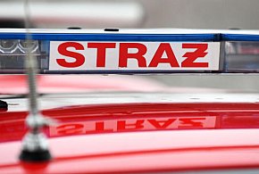 PSP: w sobotę strażacy interweniowali 215 razy w związku z silnym wiatrem-61693