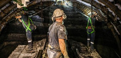 Ekspert: transformacja regionów przemysłowych wymaga wyważonego podejścia i czasu-58664