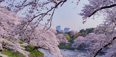 Miesiąc miodowy w rytmie zen lub przygody – odkryj najciekawsze zakątki Azji