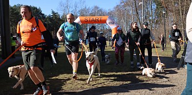 Fotorelacja I: Jurajski Dogtrekking w Myszkowie