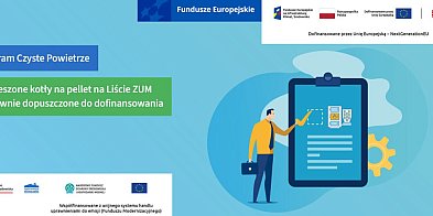 Kotły na pellet ponownie dopuszczone do dofinansowania - program CZYSTE POWIETRZE-56482