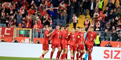Polska - Nowa Zelandia 1:0 w towarzyskim meczu piłkarskim. Bramkę zdobył...-58053