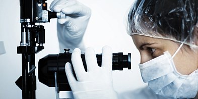 Niezwykły błąd natury - polscy naukowcy odkryli robaki z dwiema głowami-59512