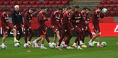 Mecz z Holandią pod zamkniętym dachem-59643