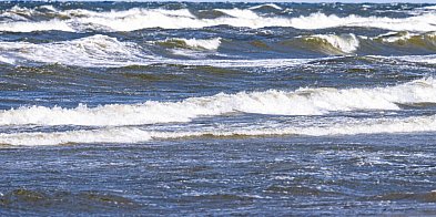 Naukowcy sprawdzą kondycję łososi w Bałtyku-61132