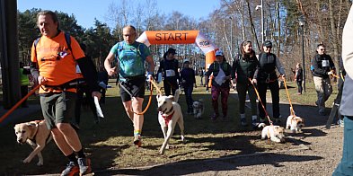 Fotorelacja I: Jurajski Dogtrekking w Myszkowie