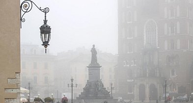 Raport: rocznie 40 tys. przedwczesnych zgonów w Polsce z powodu smogu-56878