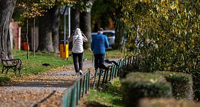 Naukowcy: dłuższy spacer lepszy niż kilka krótkich-58887