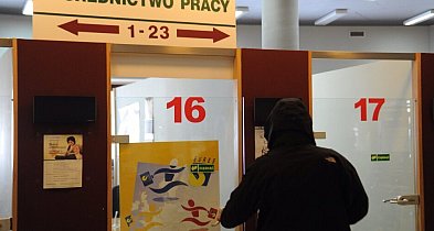 47 proc. osób, które zmieniły ostatnio pracę, szukało jej maksymalnie dwa miesiące-59520