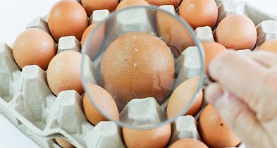 Producenci jaj i MRiRW zapewniają, że jaj nie brakuje, ale są droższe-59697