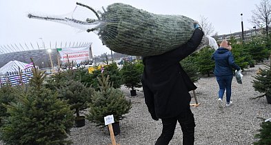 Badanie: przeciętny Polak na święta wyda ponad 1,1 tys. zł-61284